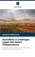 Kartoffeln in niedrigen Lagen bei hohen Temperaturen