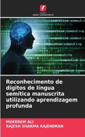 Reconhecimento de dígitos de língua semítica manuscrita utilizando aprendizagem profunda