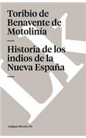 Historia de los indios de la Nueva España