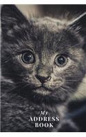 My Address Book: Black Kitten - Address Book for Names, Addresses, Phone Numbers, E-mails and Birthdays
