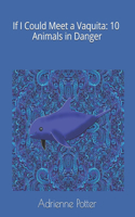 If I Could Meet a Vaquita