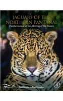 Jaguars of the Northern Pantanal