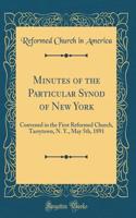 Minutes of the Particular Synod of New York: Convened in the First Reformed Church, Tarrytown, N. Y., May 5th, 1891 (Classic Reprint)