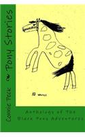 Pony Stories