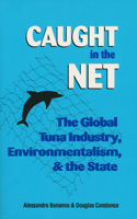 Caught in the Net
