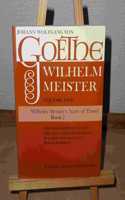 Wilhelm Meister Vol. 5