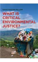 What Is Critical Environmental Justice?