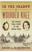 In the Shadow of Wounded Knee