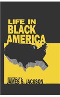 Life in Black America