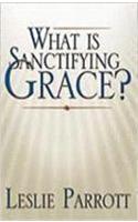 What Is Sanctifying Grace?