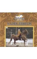 Saddlebreds: (Great American Horses)
