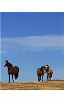 Horse Photo School Composition Book Equine Horses Blue Sky: Horse Photo Equine Covers Composition Books Notebooks (Notebook, Diary, Blank Book)