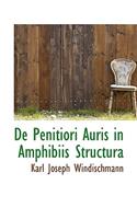 de Penitiori Auris in Amphibiis Structura