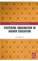 Fostering Imagination in Higher Education