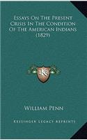 Essays on the Present Crisis in the Condition of the American Indians (1829)