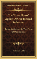 The Three Hours' Agony Of Our Blessed Redeemer