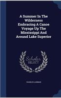 A Summer In The Wilderness Embracing A Canoe Voyage Up The Mississippi And Around Lake Superior