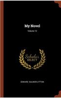 My Novel; Volume 12