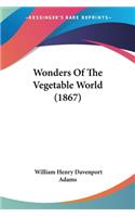 Wonders Of The Vegetable World (1867)