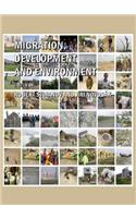 Migration, Development and Environment: Migration Processes from the Perspective of Environmental Change and Development Approach at the Beginning of the 21st Century