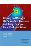 Delivery and Mixing in the Subsurface