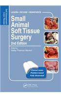 Small Animal Soft Tissue Surgery