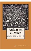 Anidar en el cauce: (Spanish)
