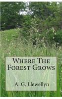 Where The Forest Grows