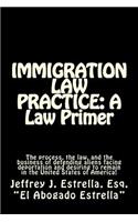 Immigration Law Practice