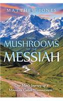 From Mushrooms to the Messiah: One Man's Journey up a Mountain Called "Commitment"(English)