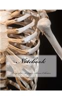 Notebook - Large Size - 100 pages - Science Collection