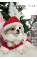 Chihuahua December Notebook Chihuahua Record, Log, Diary, Special Memories, To Do List, Academic Notepad, Scrapbook & More