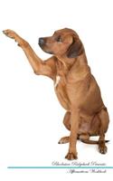 Rhodesian Ridgeback Affirmations Workbook Rhodesian Ridgeback Presents: Positive and Loving Affirmations Workbook. Includes: Mentoring Questions, Guidance, Supporting You.