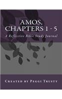 Amos, Chapters 1 - 5: A Reflective bible Study Journal