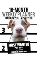 2017-2018 Weekly Planner - Most Wanted Pit Bull: Daily Diary Monthly Yearly Calendar