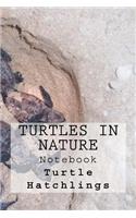 Turtles in Nature Notebook