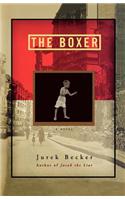 The Boxer