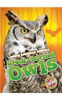 Great Horned Owls