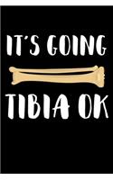It's Going Tibia Ok: Diary To Write In: Thank You Gifts For Chiropractors, Chiropractor Students, Spine Doctors
