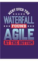Went Over the Waterfall Found Agile at the Bottom