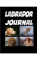 Labrador Journal