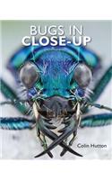 Bugs in Close-Up