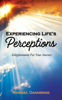 Experiencing Life's Perceptions
