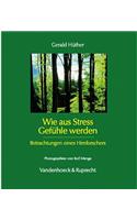 Wie Aus Stress Gefuhle Werden: Betrachtungen Eines Hirnforschers