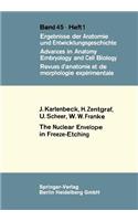 Nuclear Envelope in Freeze-Etching