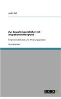 Zur Gewalt Jugendlicher mit Migrationshintergrund