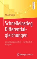 Schnelleinstieg Differentialgleichungen