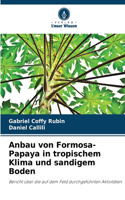 Anbau von Formosa-Papaya in tropischem Klima und sandigem Boden