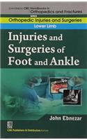 Injuries And Surgeries Of Foot And Ankle (Handbooks In Orthopedics And Fractures Series, Vol. 58: Orthopedic Injuries And Surgeries Lower Limb)