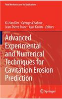 Advanced Experimental and Numerical Techniques for Cavitation Erosion Prediction